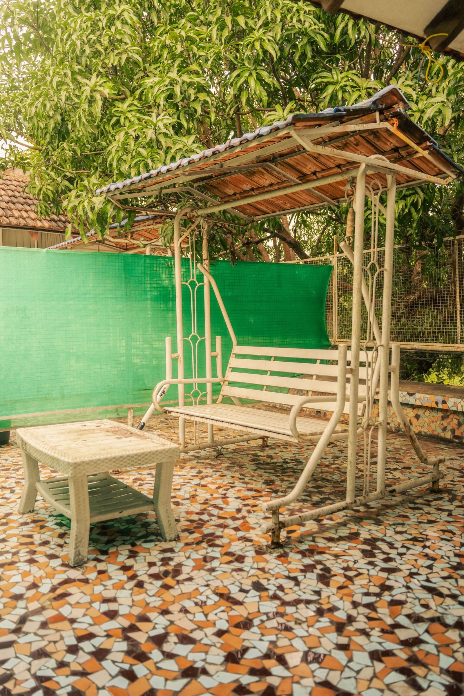 pexels abeysaksham 31774137